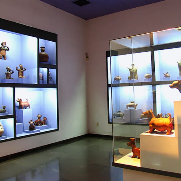 Visitar el Museo Rufino Tamayo – OAXACA, MUSEOS